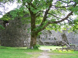 100_0694_med