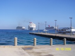 100_1709_med