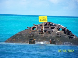 100_2965_med